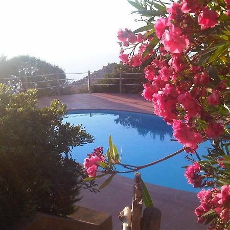 Domus De Janas Villa Costa Paradiso Eksteriør bilde