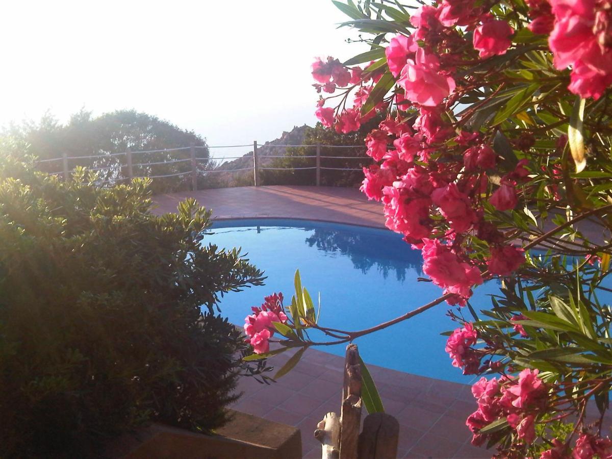 Domus De Janas Villa Costa Paradiso Eksteriør bilde