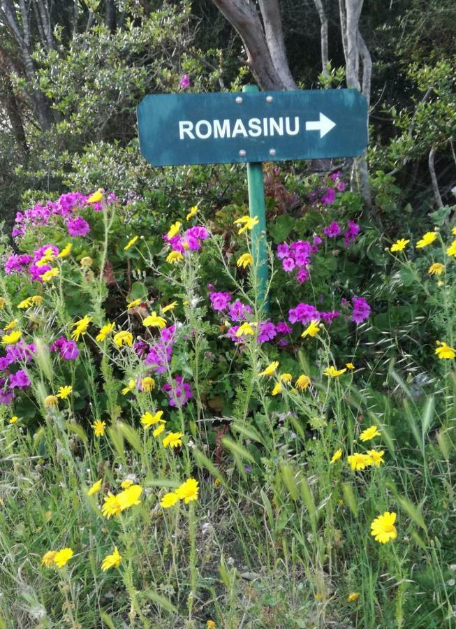 Domus De Janas Villa Costa Paradiso Eksteriør bilde